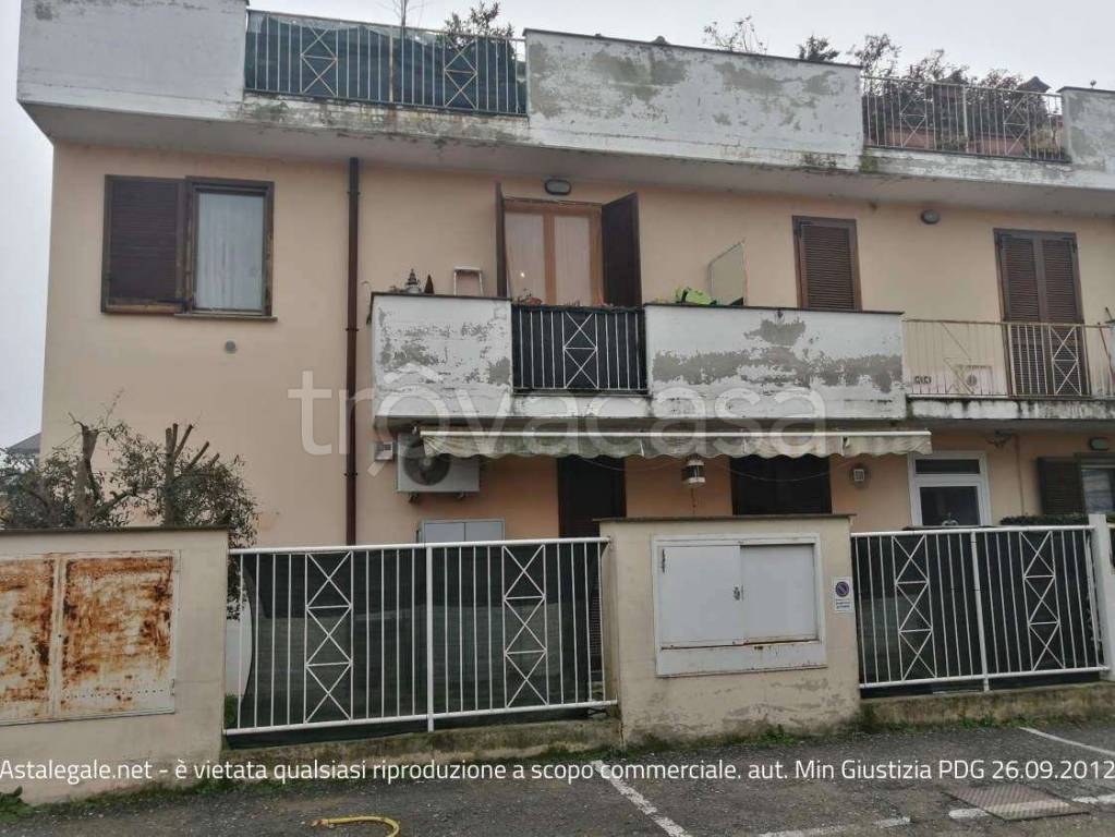immagine annuncio 13 di 14