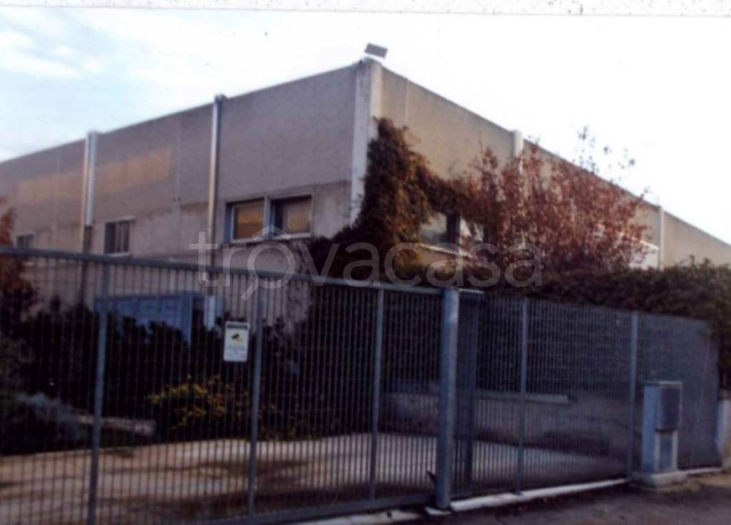 immagine annuncio 2 di 12