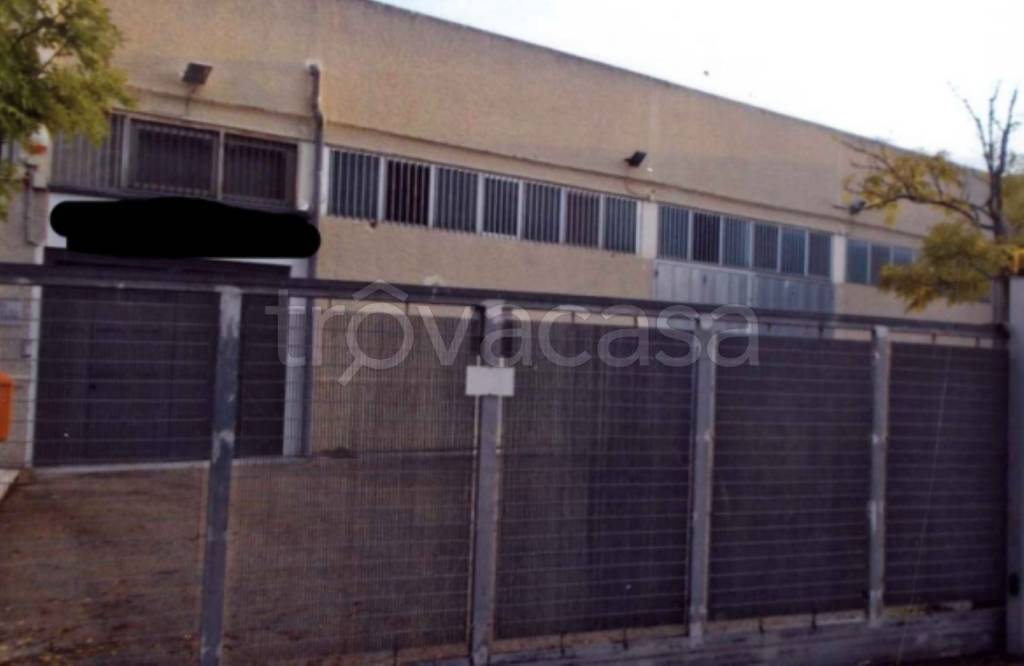 immagine annuncio 4 di 12