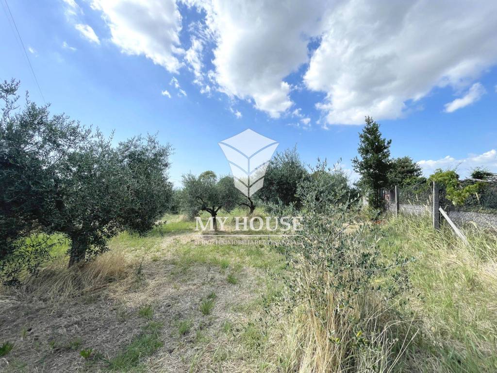 immagine annuncio 10 di 15