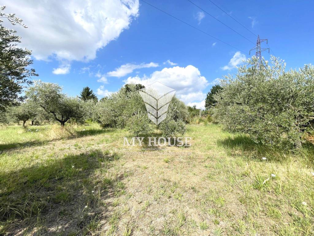 immagine annuncio 13 di 15