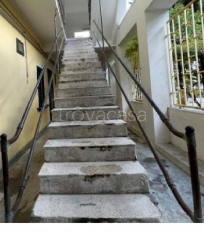 immagine annuncio 4 di 8