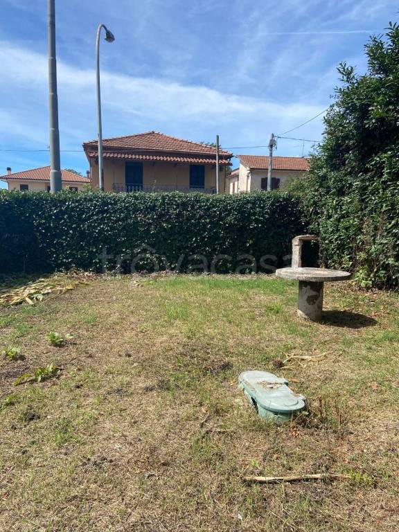 immagine annuncio 11 di 13