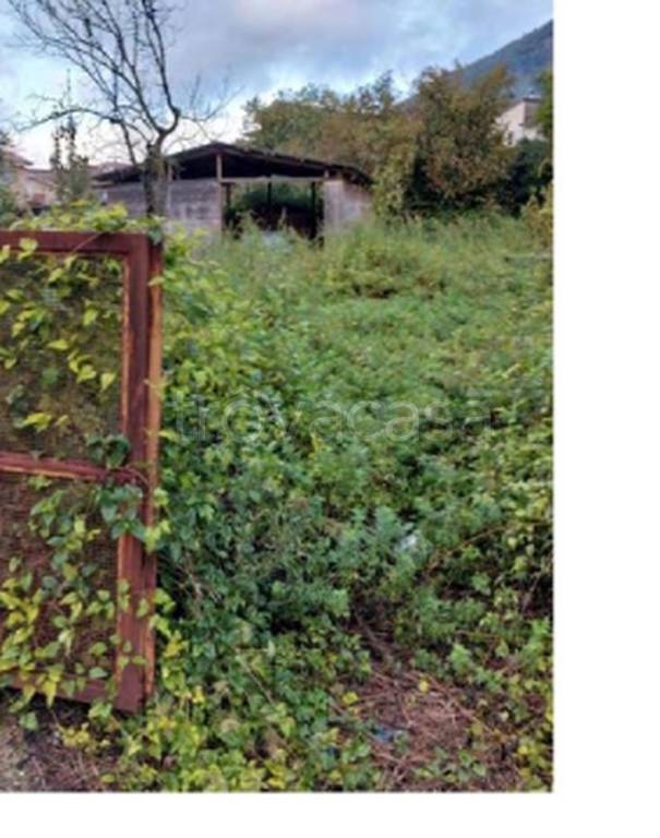 immagine annuncio 10 di 12