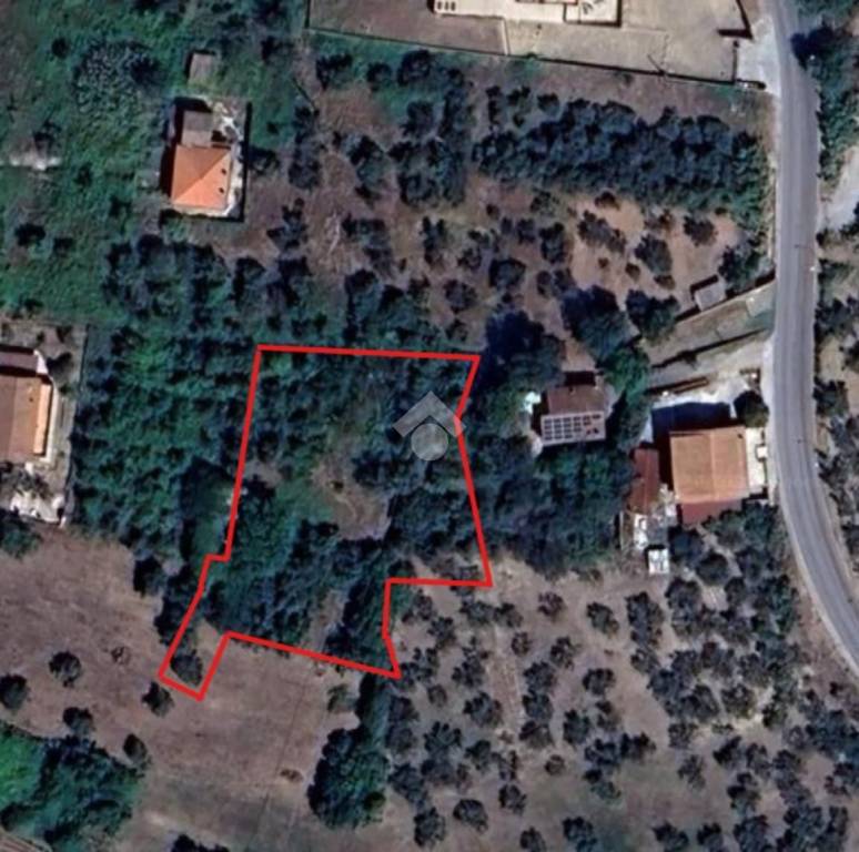 immagine annuncio 11 di 13