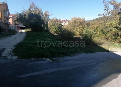 immagine annuncio 5 di 9