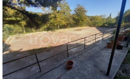 immagine annuncio 7 di 9