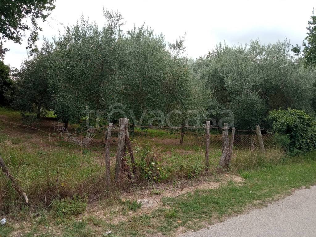 immagine annuncio 6 di 7