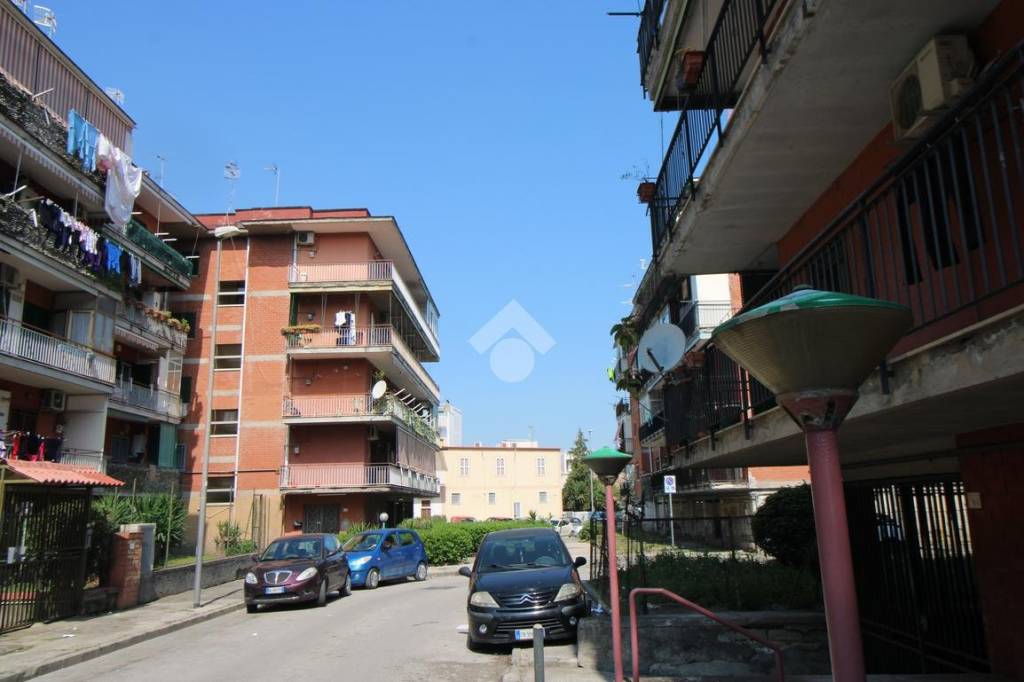 immagine annuncio 13 di 14