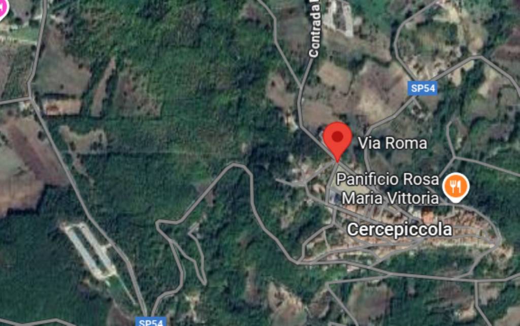 immagine annuncio 6 di 9