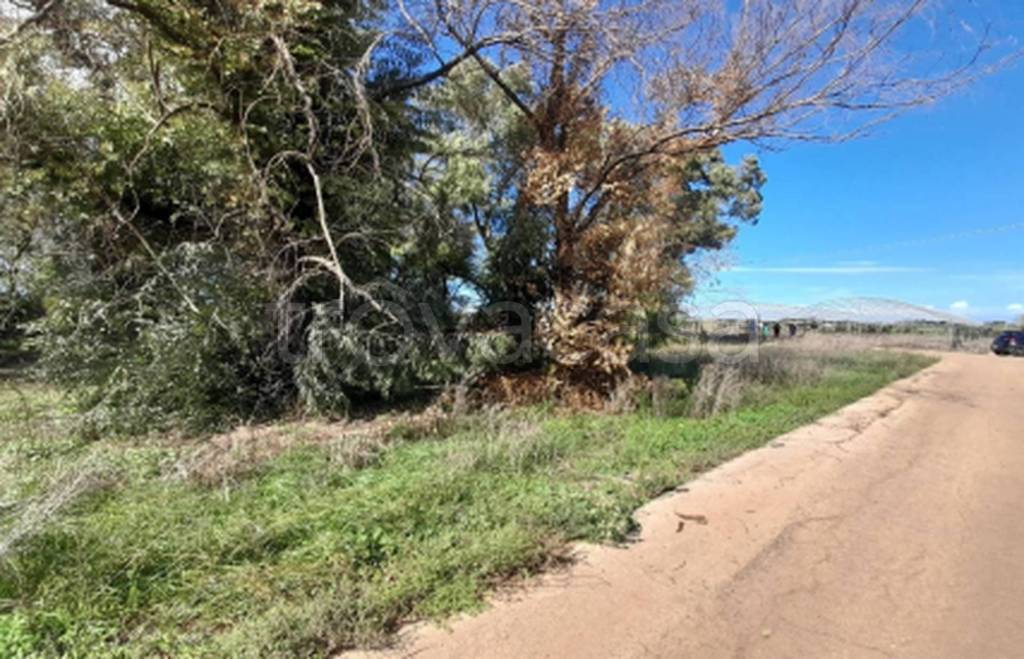 immagine annuncio 1 di 11