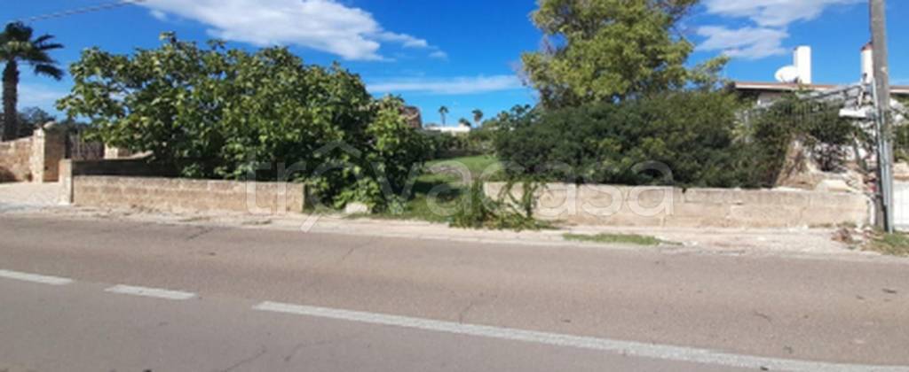 immagine annuncio 4 di 11