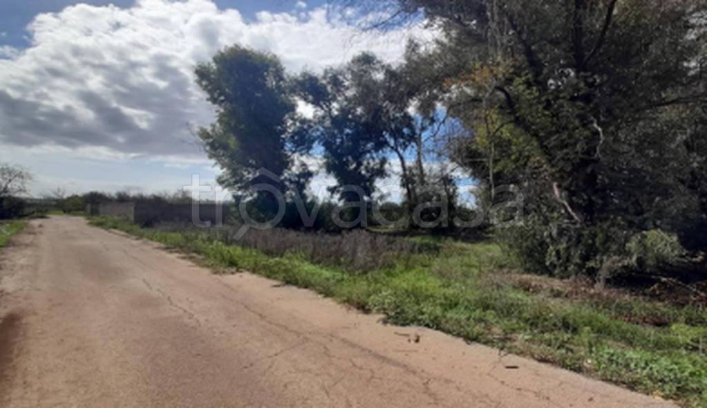 immagine annuncio 3 di 11