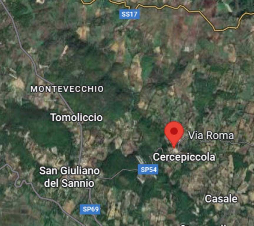 immagine annuncio 7 di 11