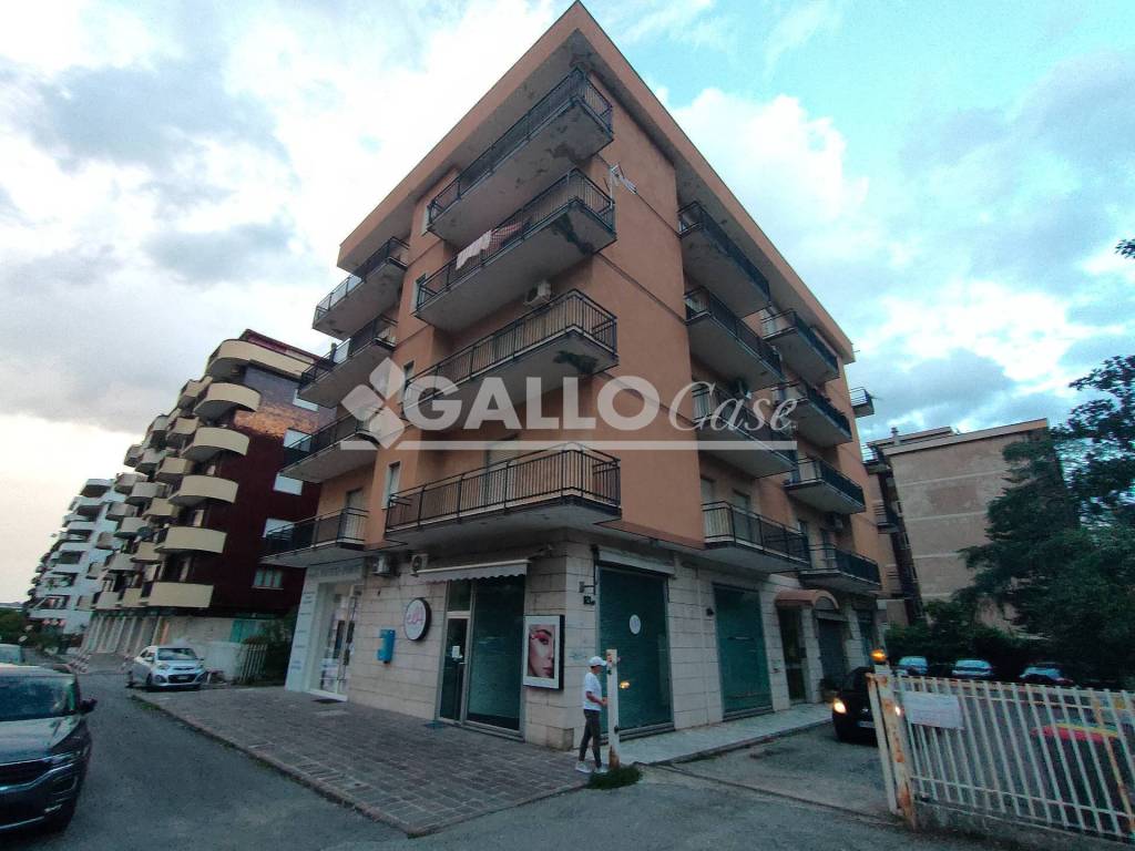 immagine annuncio 5 di 6
