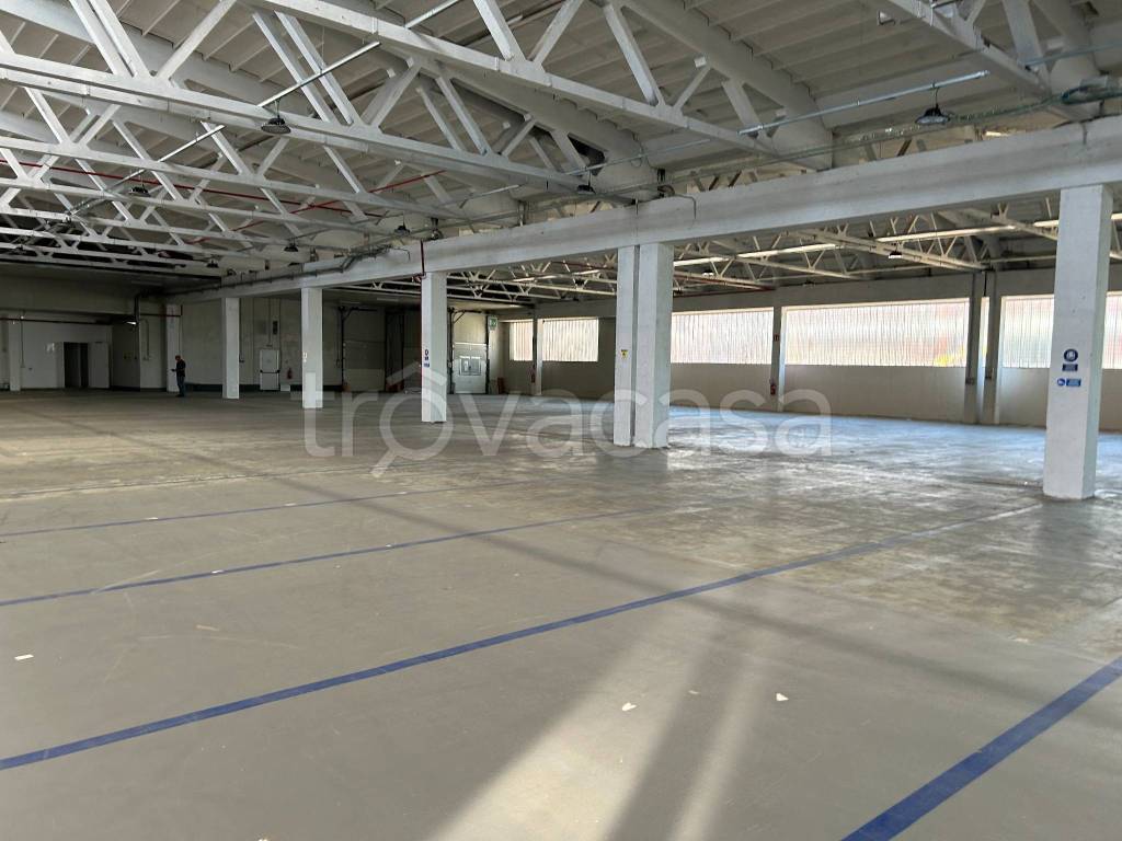 immagine annuncio 1 di 12