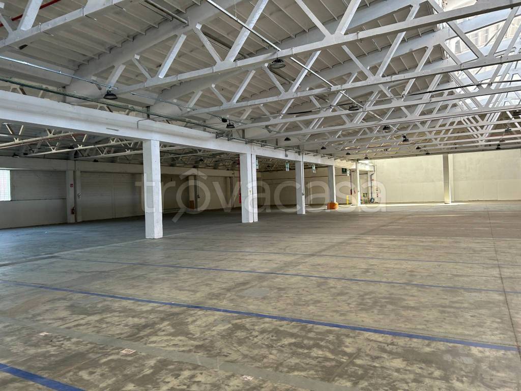 immagine annuncio 5 di 12