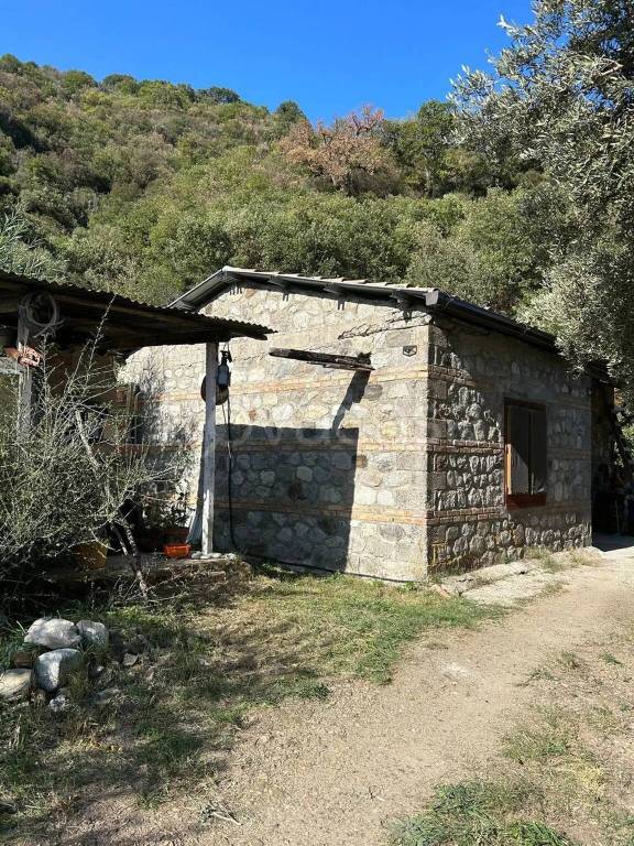 immagine annuncio 5 di 14