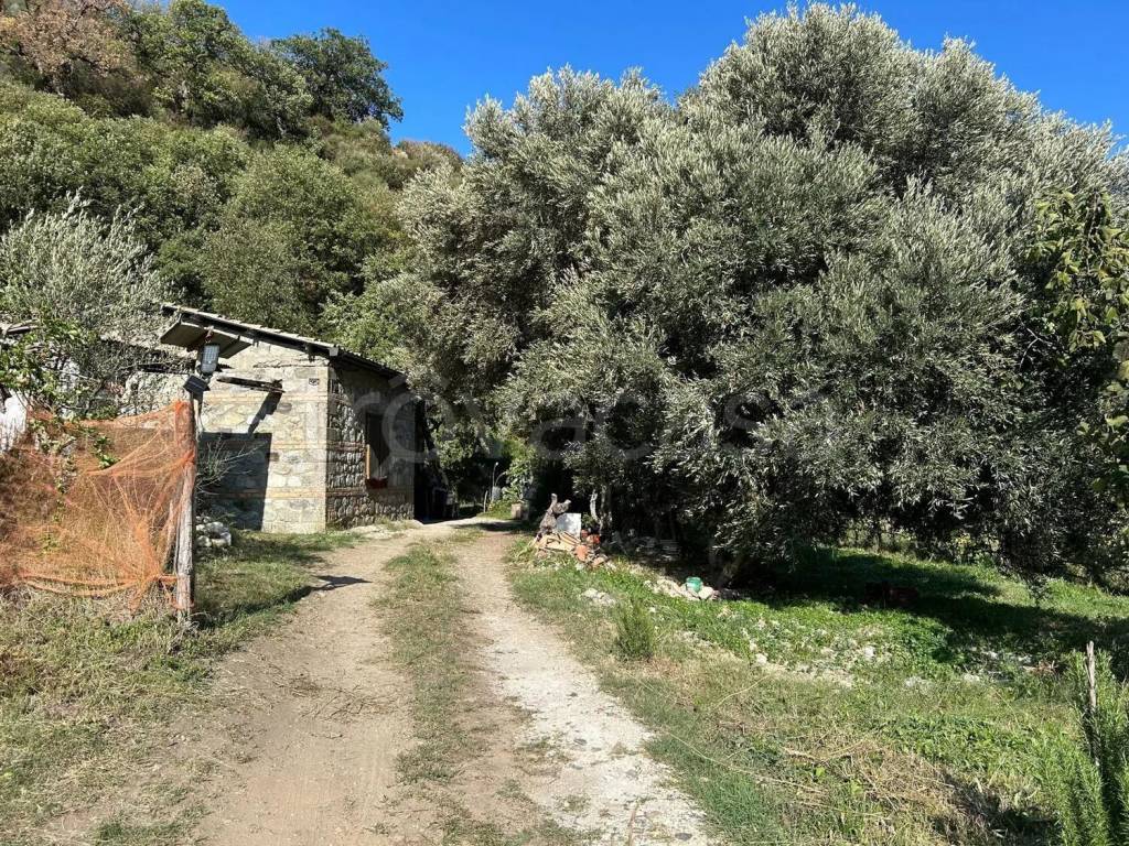 immagine annuncio 8 di 14