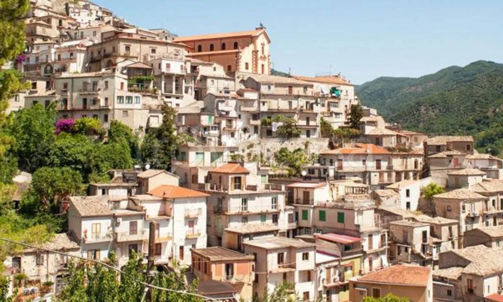 immagine annuncio 4 di 7