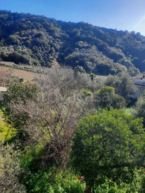 immagine annuncio 1 di 7