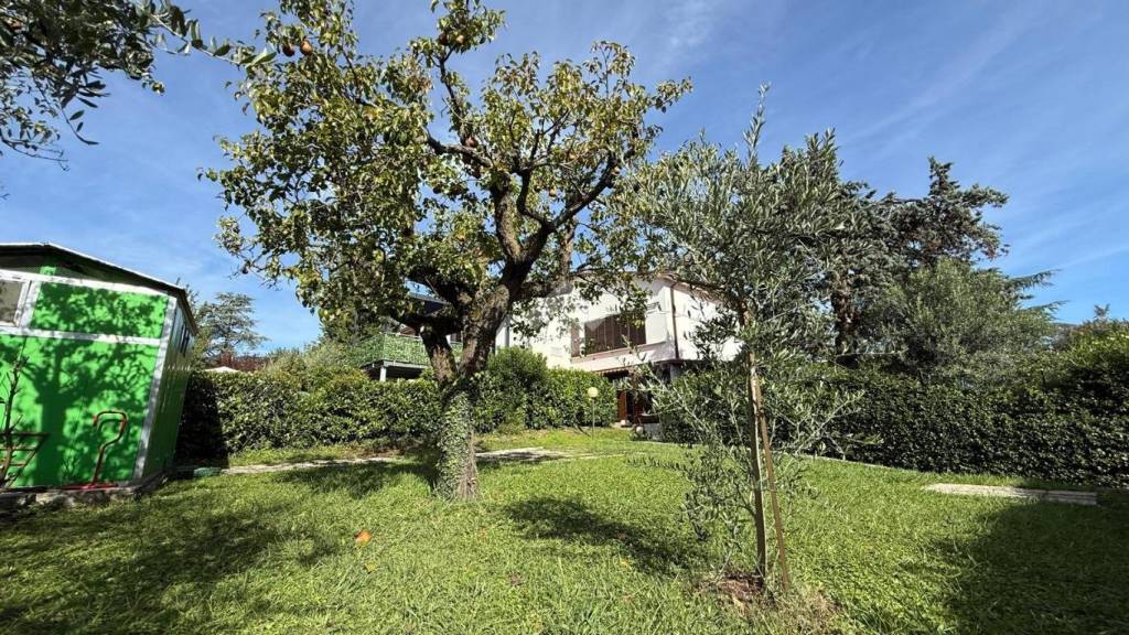 immagine annuncio 4 di 12