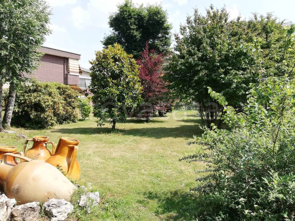 immagine annuncio 7 di 8