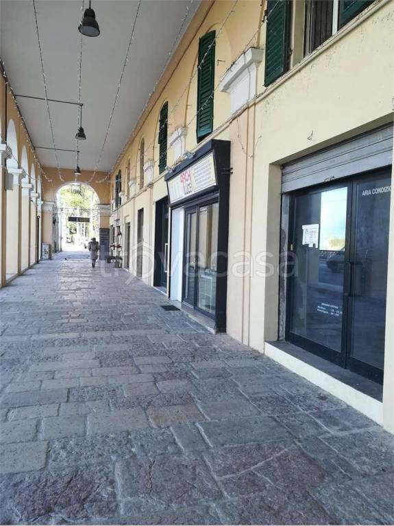 immagine annuncio 2 di 12