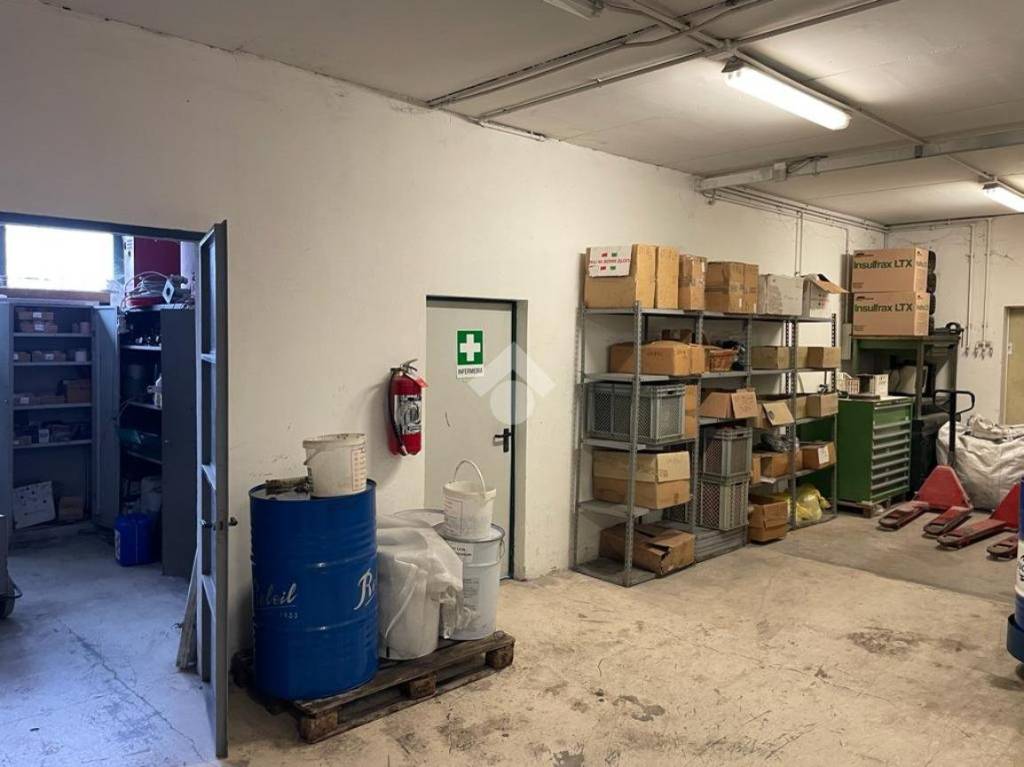 immagine annuncio 9 di 15
