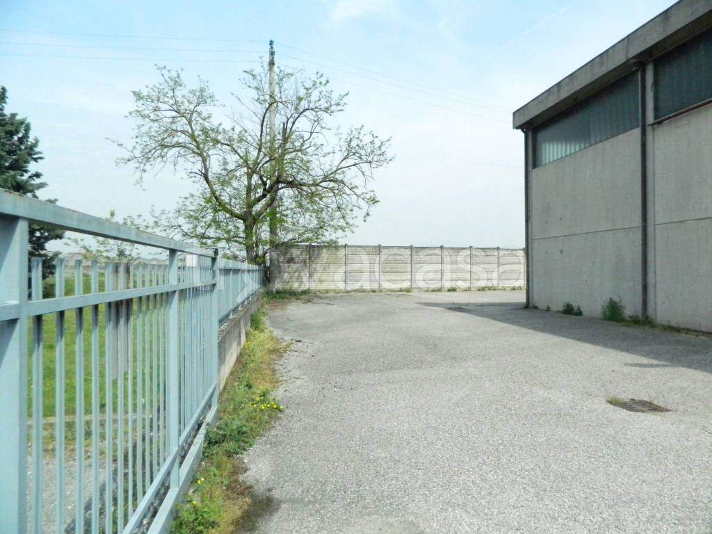 immagine annuncio 2 di 12