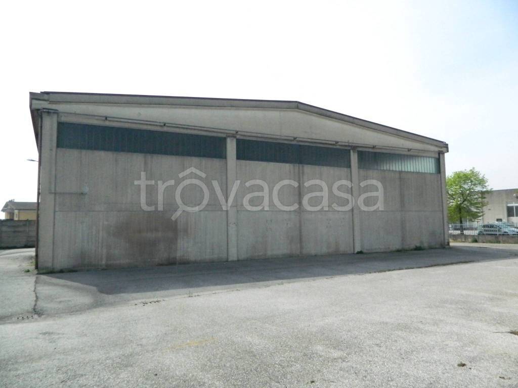 immagine annuncio 4 di 12