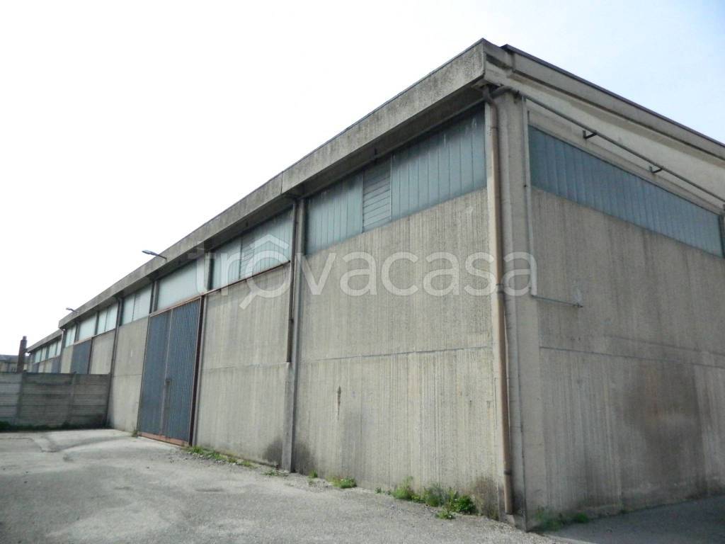 immagine annuncio 6 di 12