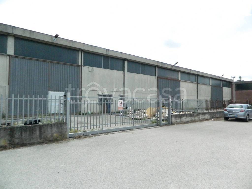 immagine annuncio 10 di 12