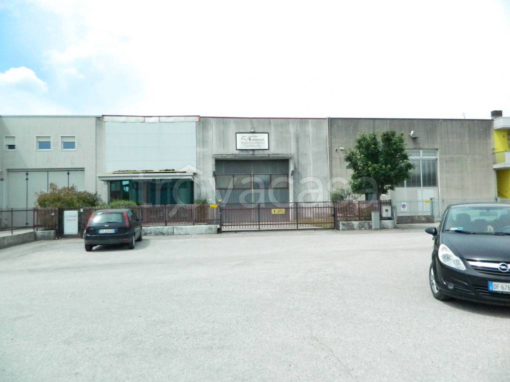 immagine annuncio 11 di 12