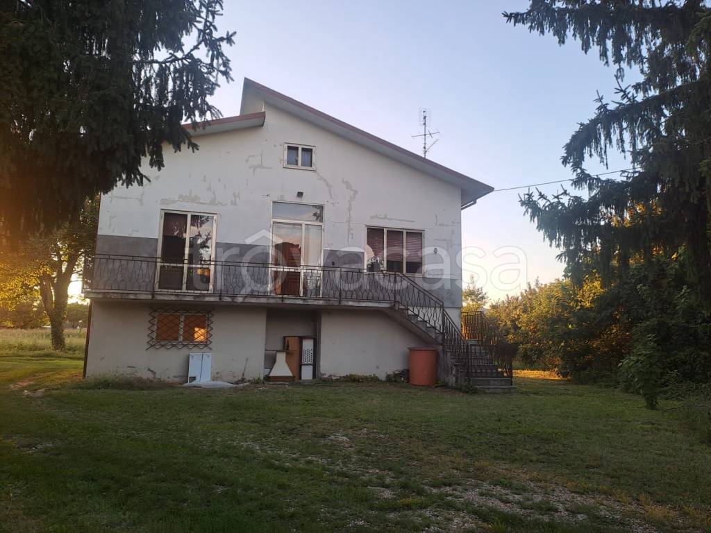 immagine annuncio 5 di 7