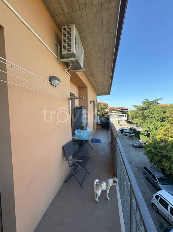 immagine annuncio 9 di 13