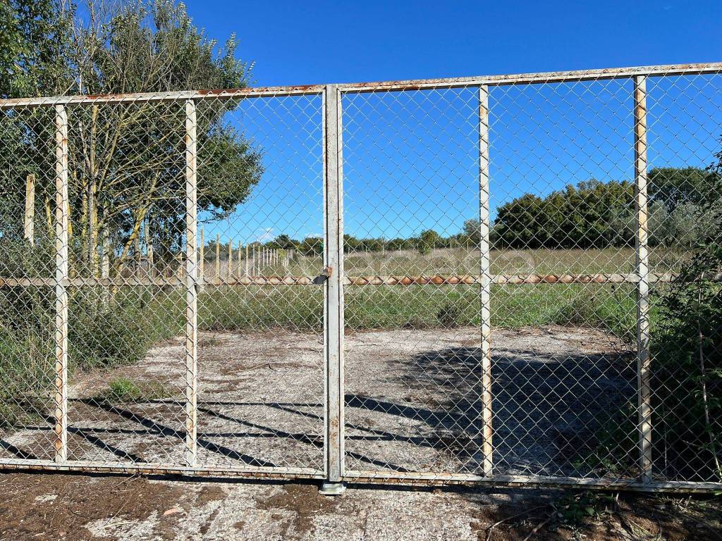 immagine annuncio 9 di 11
