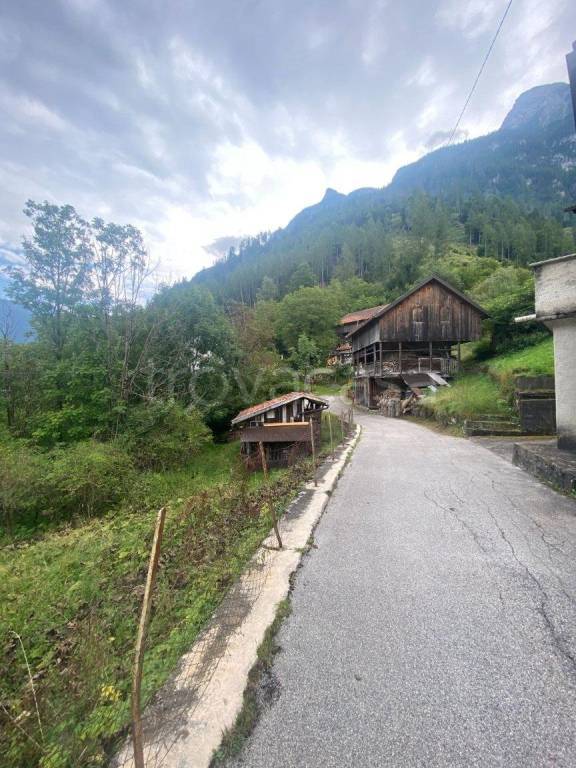 immagine annuncio 7 di 8