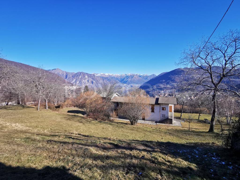 immagine annuncio 11 di 13