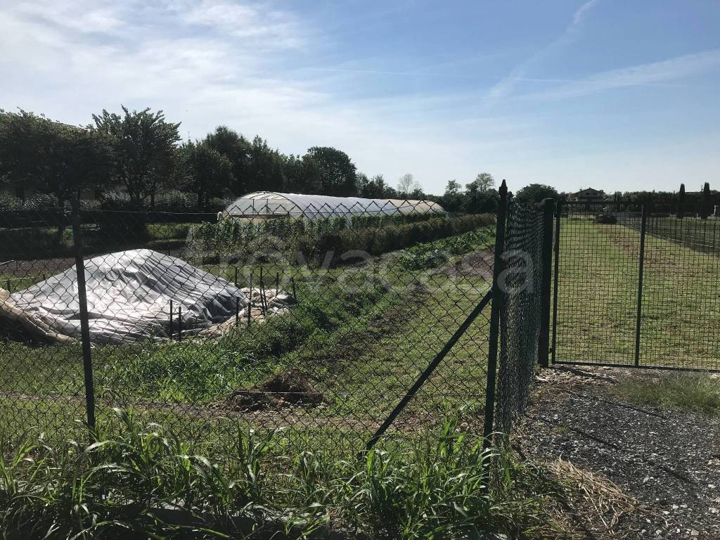 immagine annuncio 2 di 3