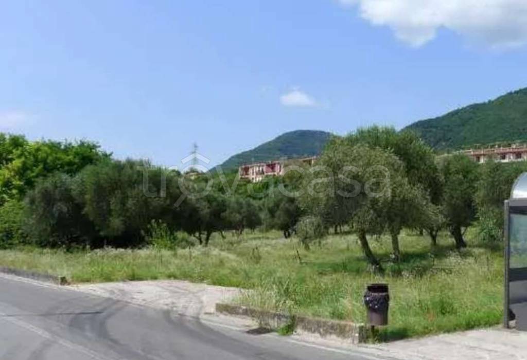 immagine annuncio 4 di 14