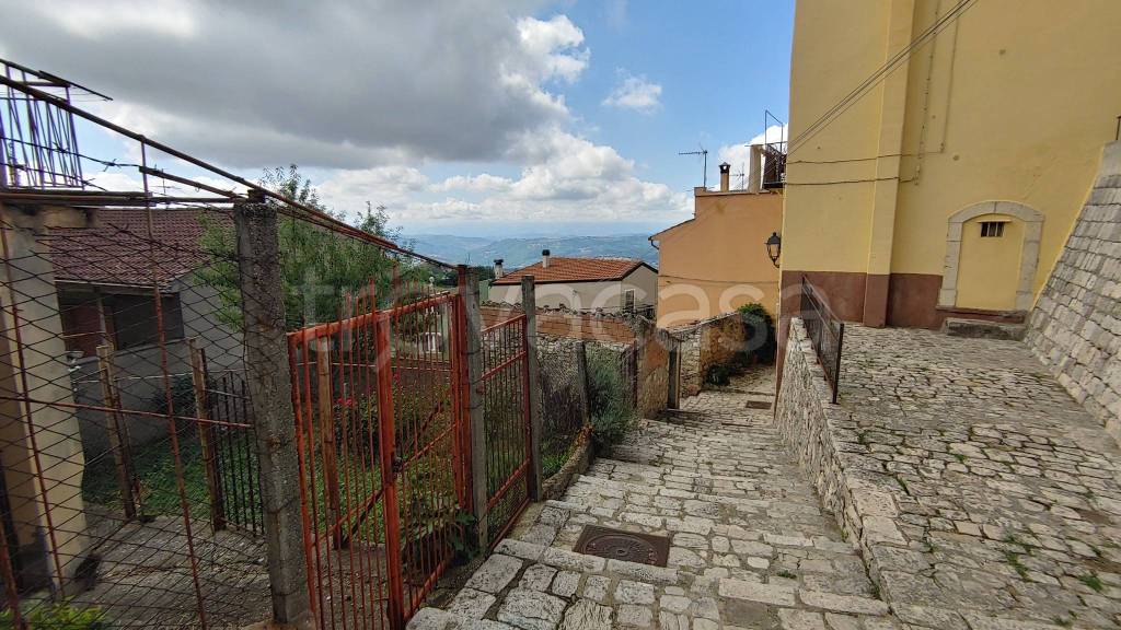 immagine annuncio 9 di 14