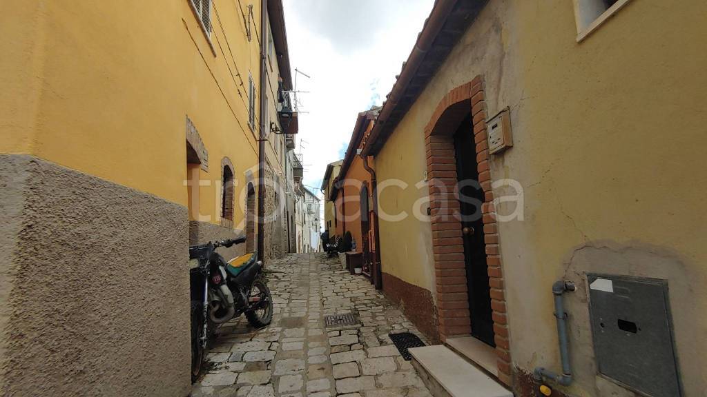 immagine annuncio 10 di 14