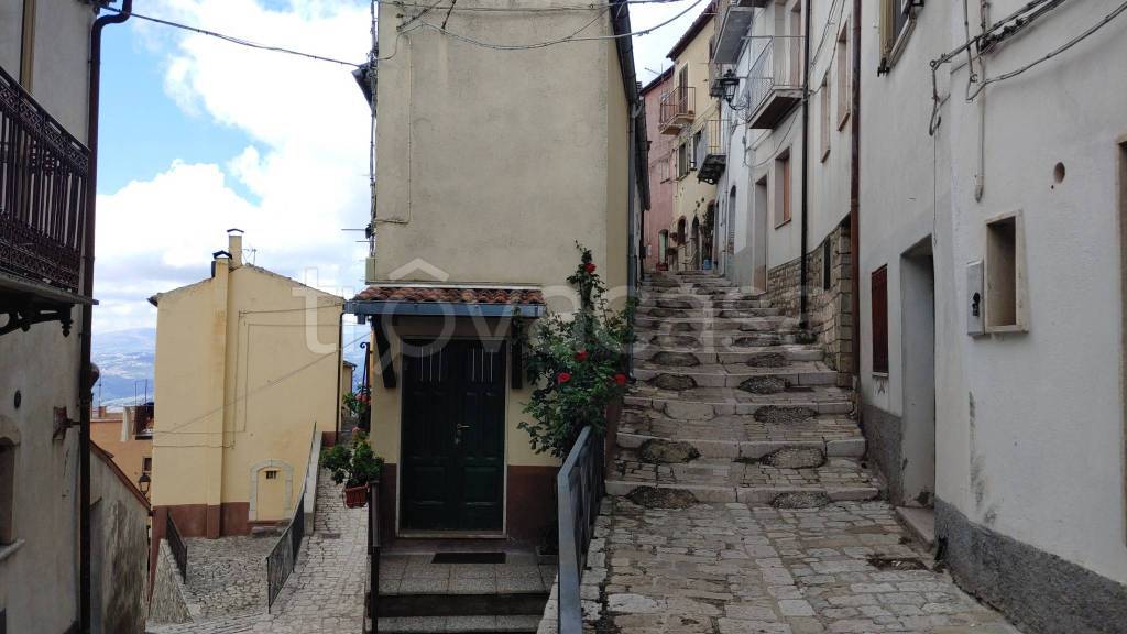 immagine annuncio 11 di 14