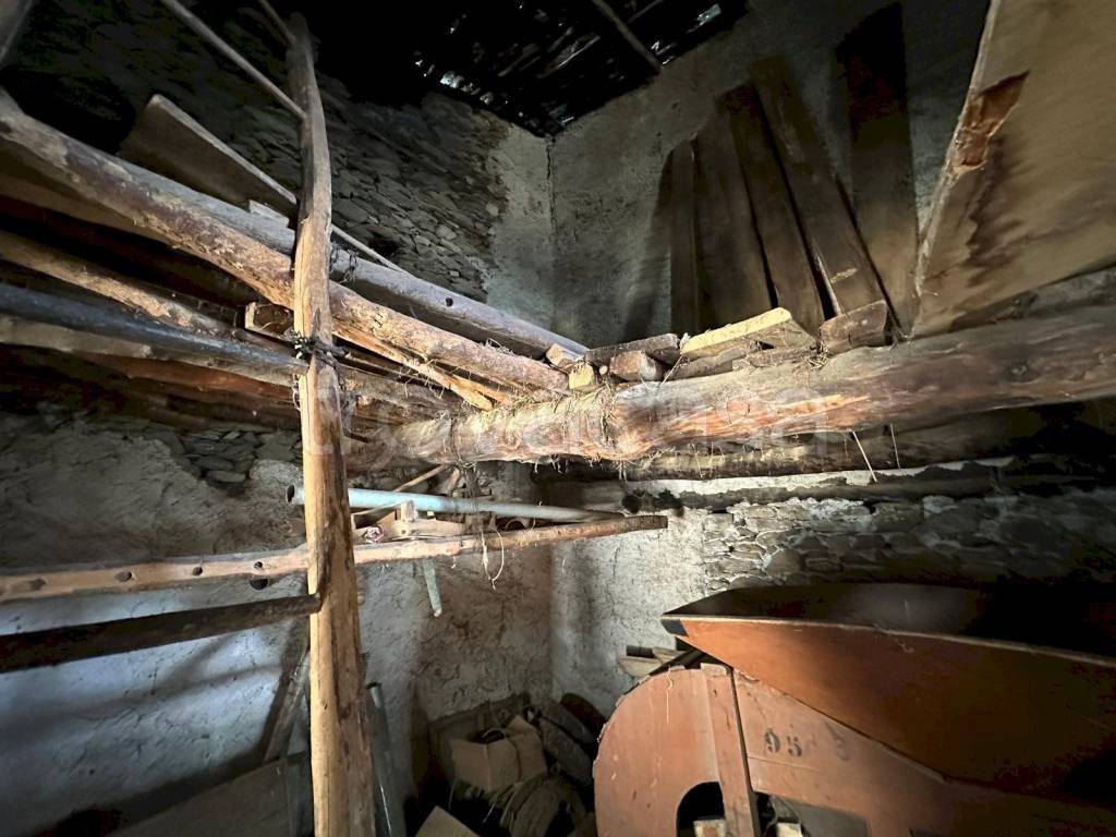 immagine annuncio 3 di 7