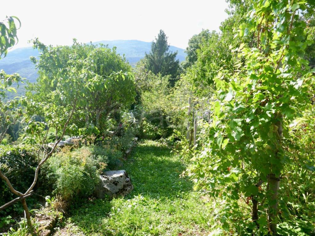 immagine annuncio 11 di 14