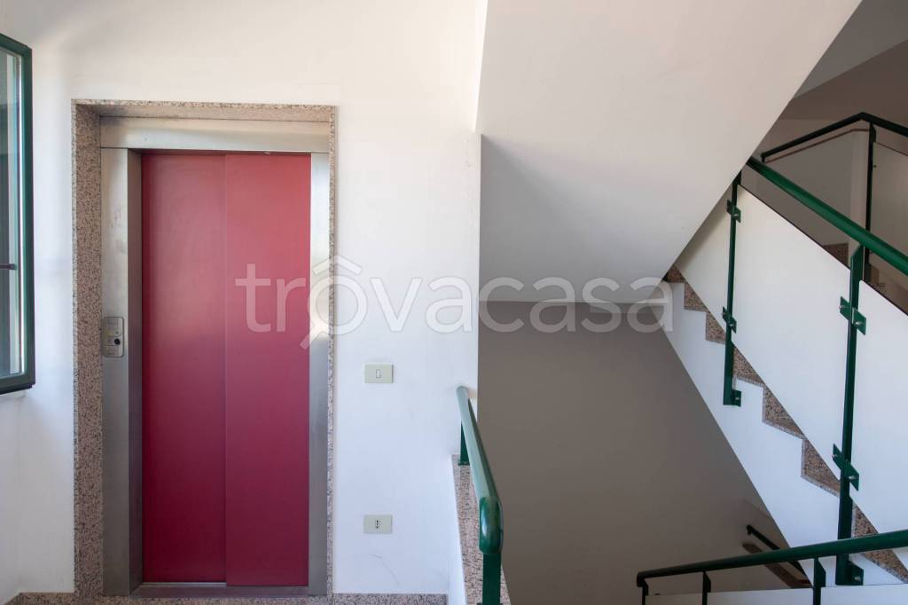 immagine annuncio 4 di 13