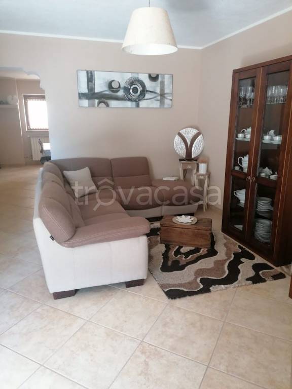 immagine annuncio 2 di 14