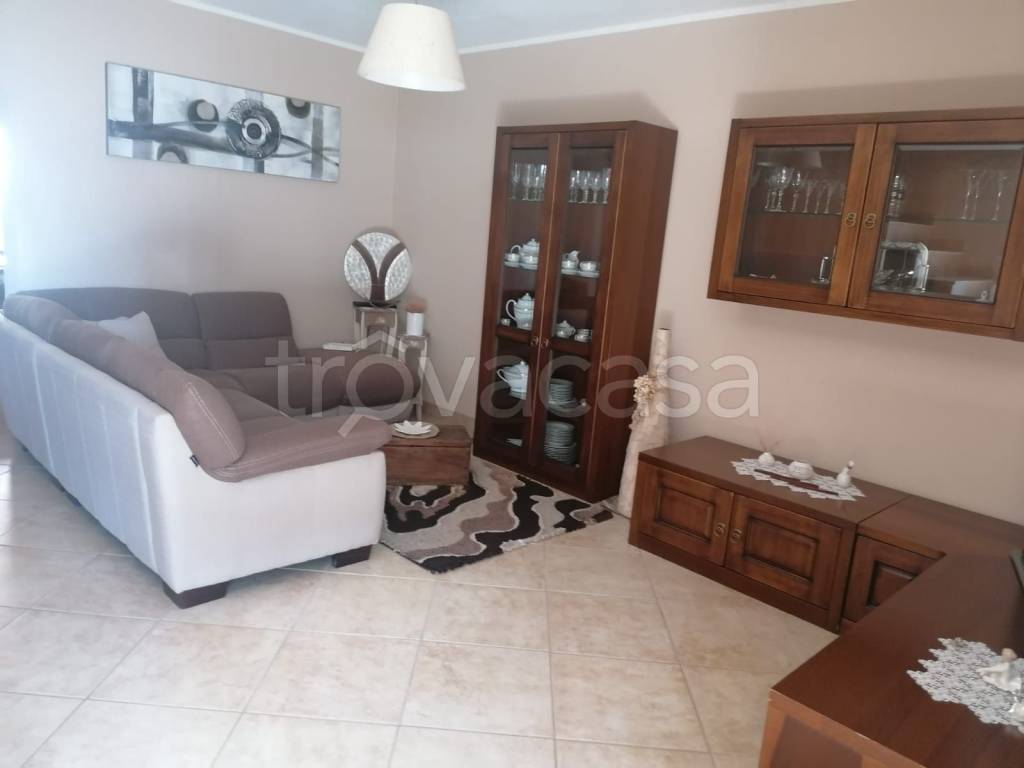 immagine annuncio 3 di 14