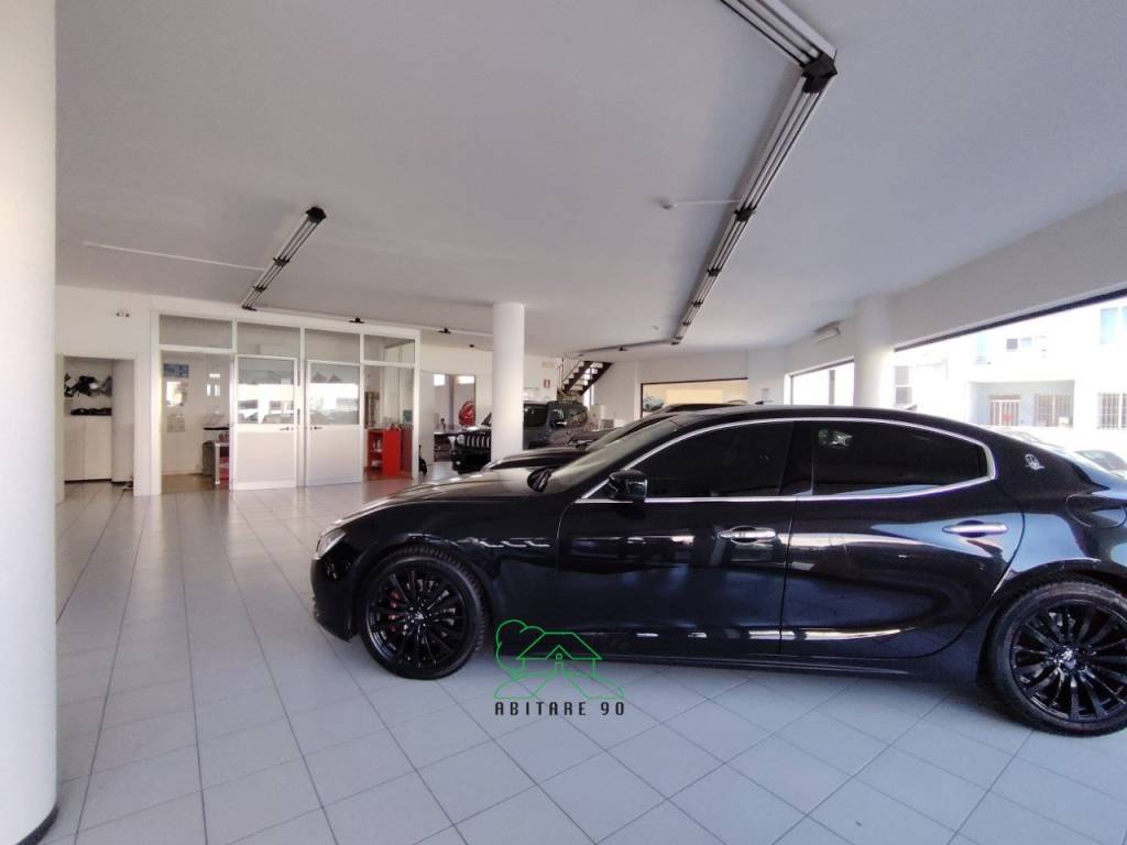 immagine annuncio 11 di 15